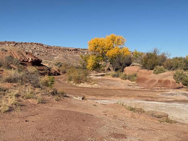 Moab's 7 Mile Canyon