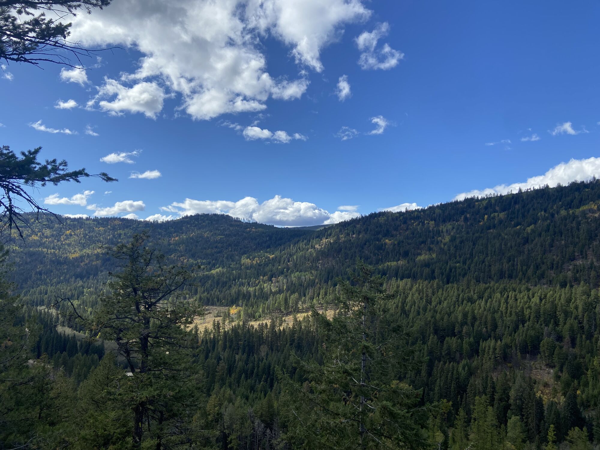 Another bear creek loop