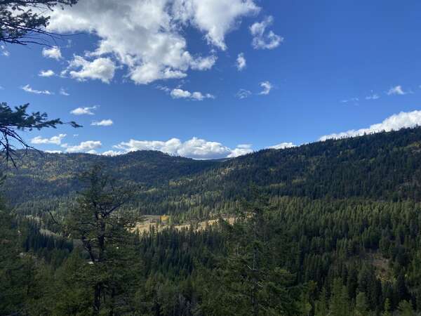 Another bear creek loop