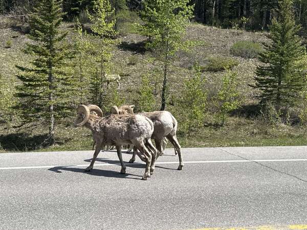 Kananaskis To Canmore Via Spray Lakes