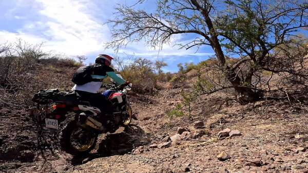 Hard Honda single track