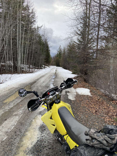 GFSR Snow Check
