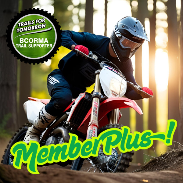 Member + BCORMA