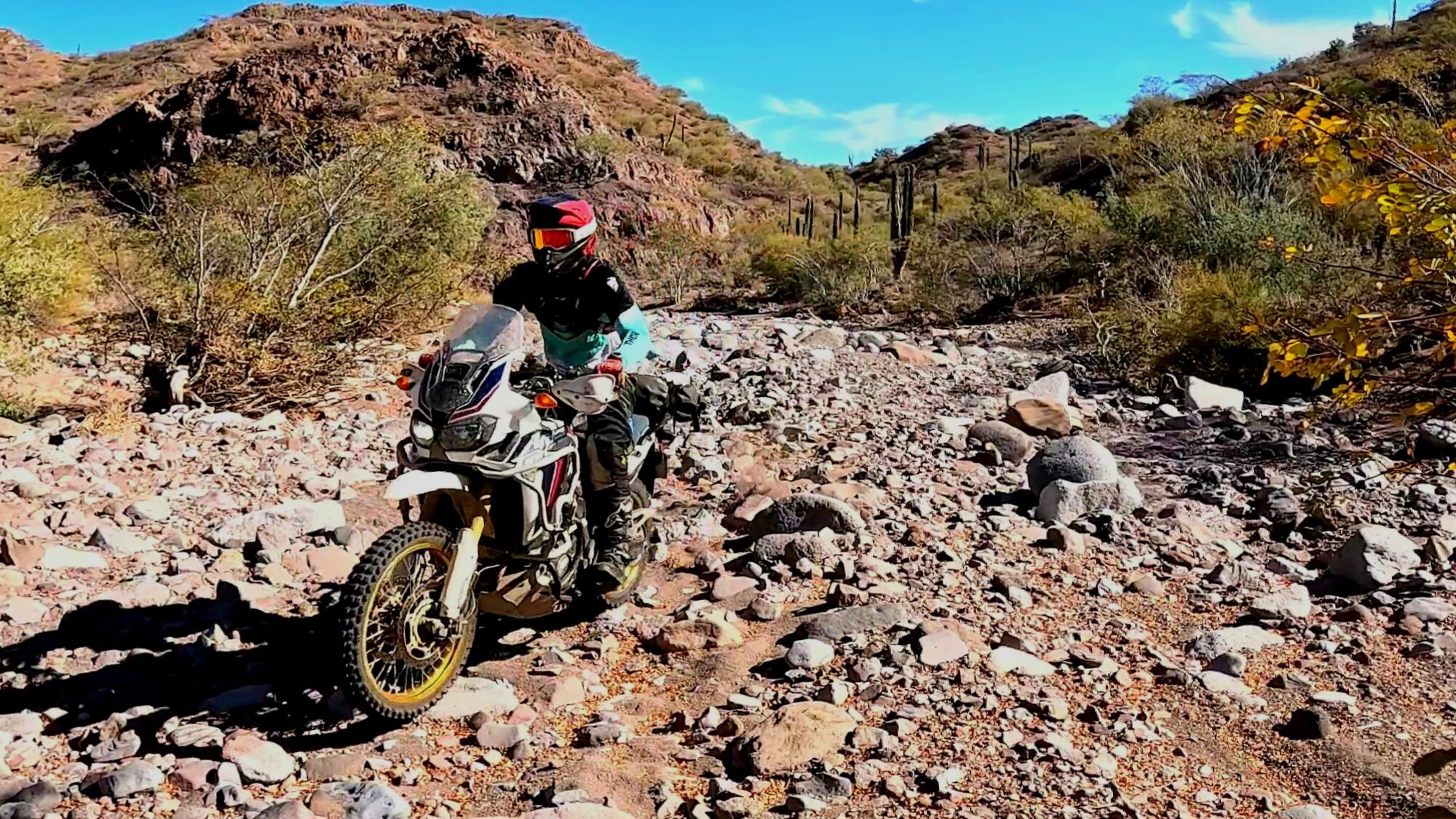 Up a creek with an Africa Twin