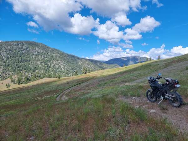 Field of dreams & June in the Dunes