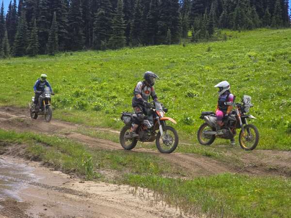 Whipsaw July 11 2026