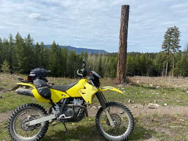 2000 Suzuki DRZ400E