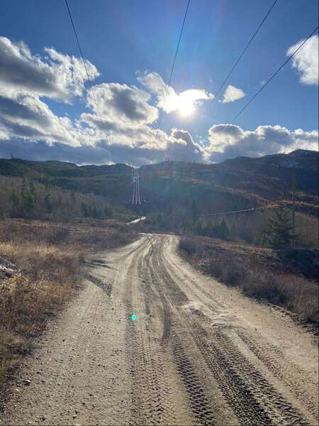November Sunshine