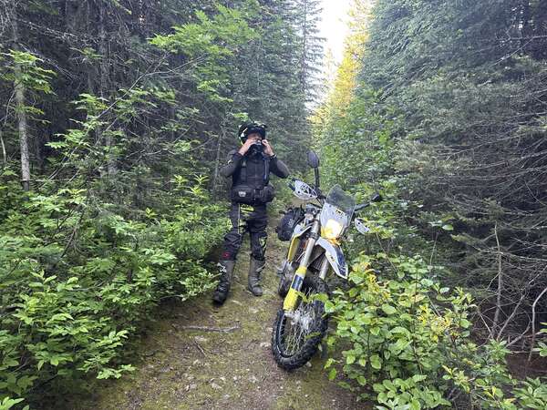 Lots of Salmon Arm R1