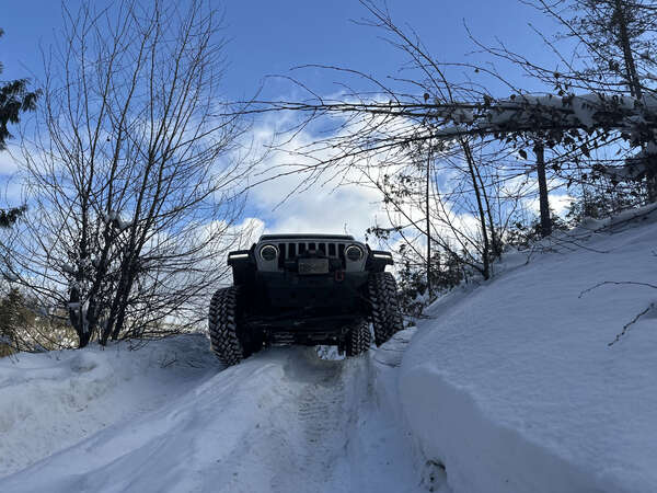 Twisted Steel In The Snow