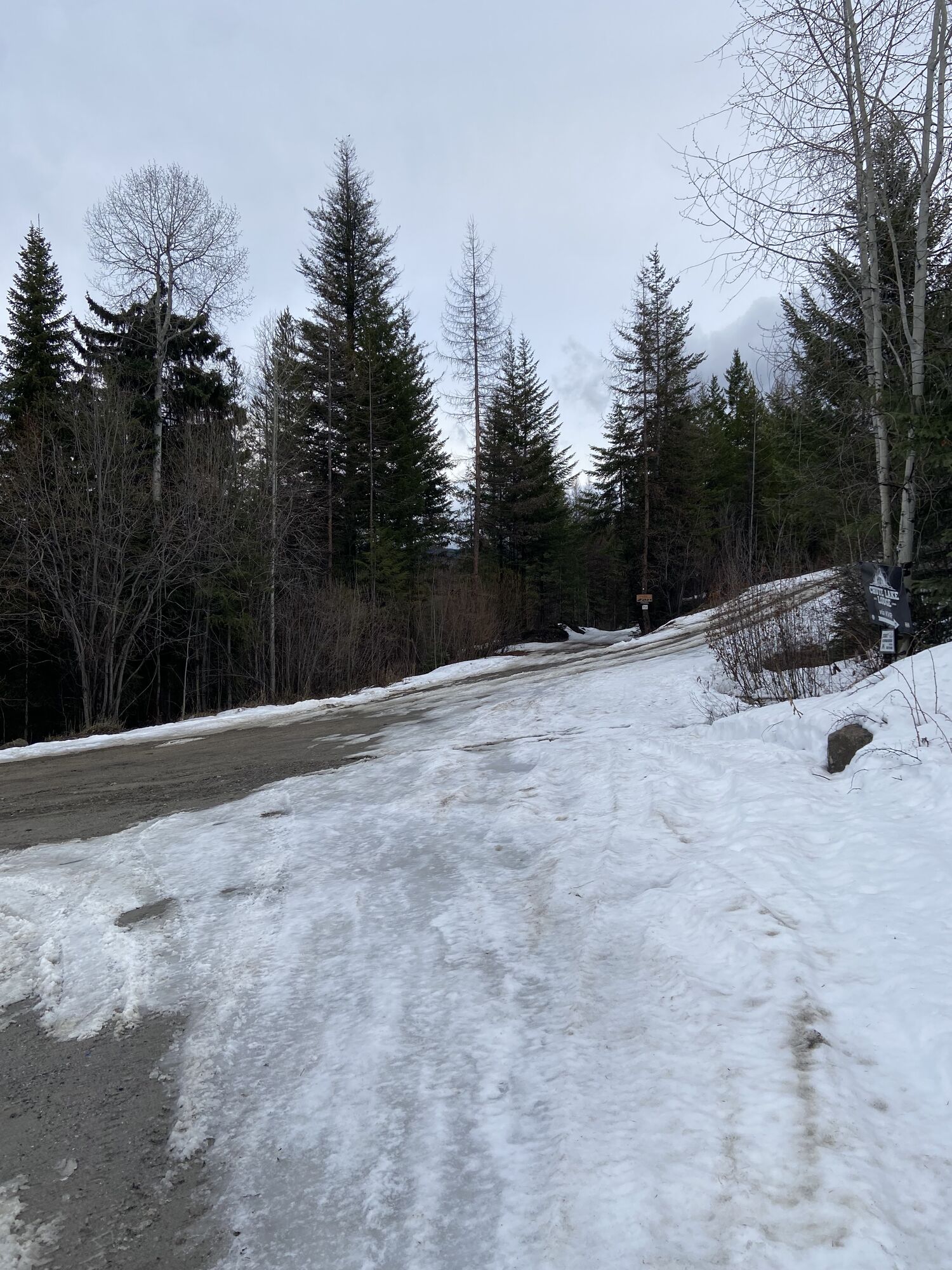 GFSR Snow Check