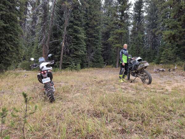 Greystokes With Duncan.