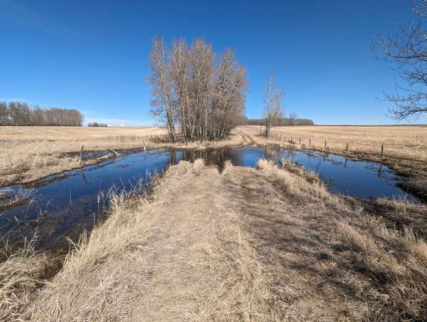 Early Spring Rural Exploration