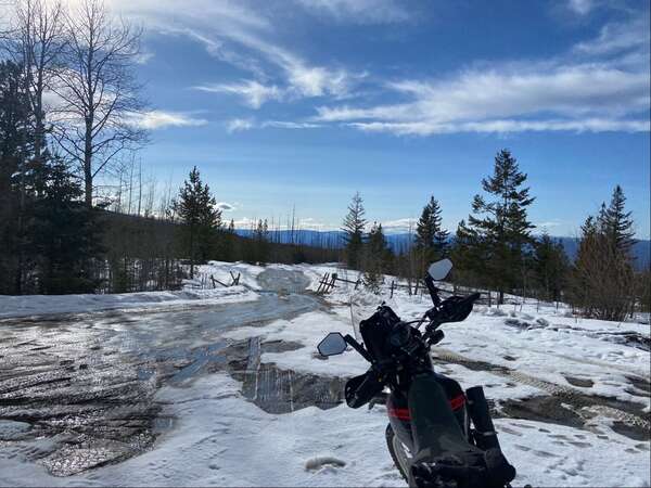 2019 Suzuki DR650