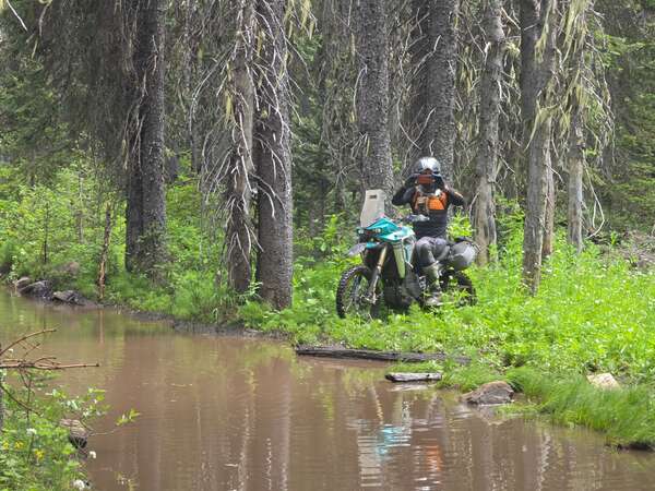 Whipsaw July 11 2026