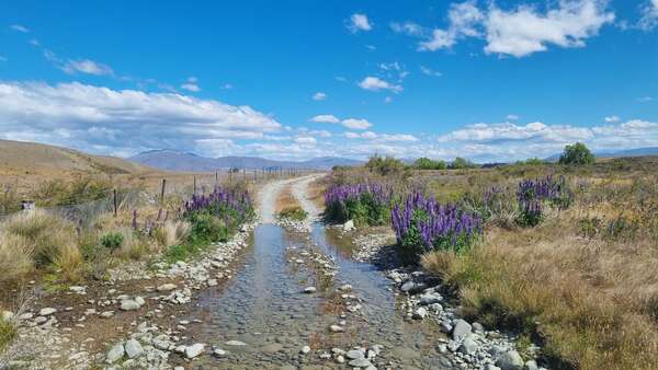 Otago trip day 8 Ahuriri Base Hut to Bauchops Hill