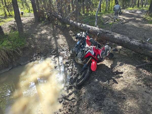 McLean Creek is Always Wet