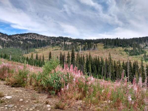 Rossland Range