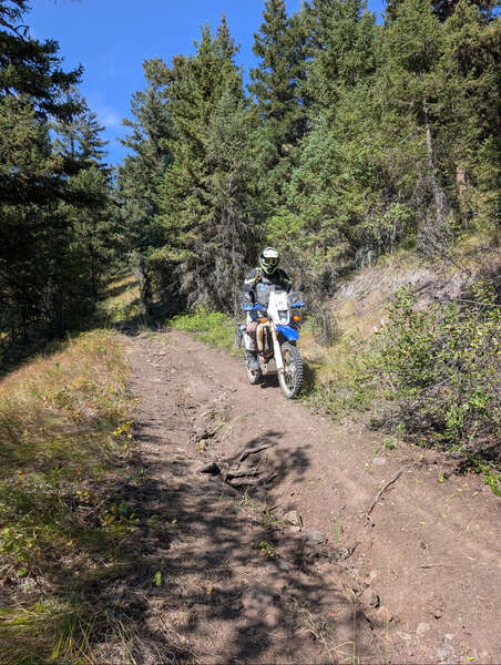 TABG 2025 - Day 2 -Morning