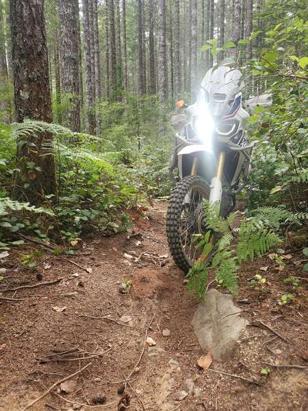 Cook Creek Hard Exploration