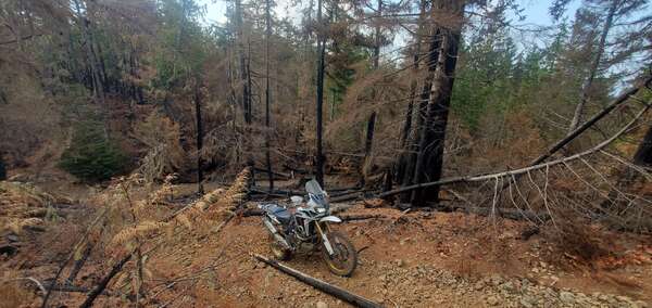 Post Wildfire Exploration