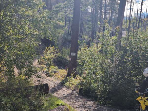 Field Of Dreams Alternate