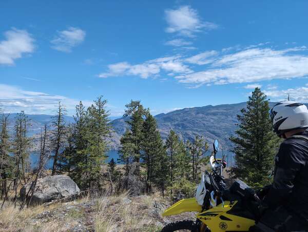 Field Of Dreams Alternate