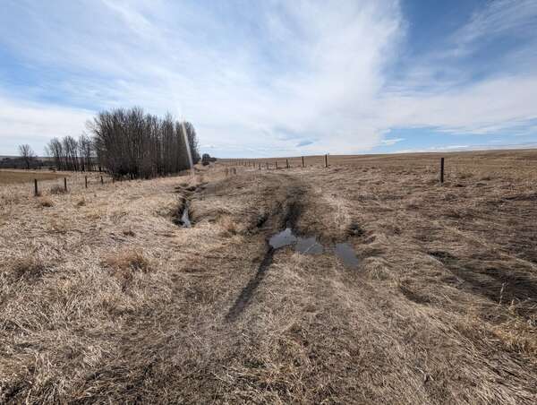 Early Spring Rural Exploration