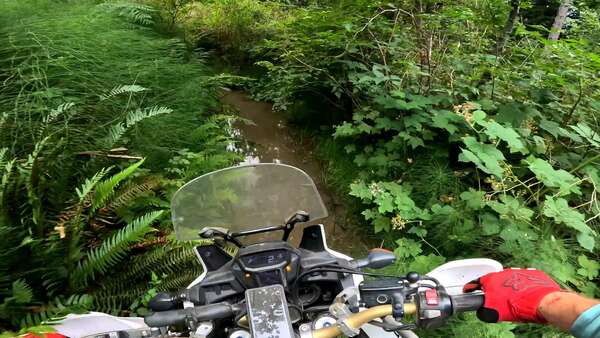 Hard trails with Mladen