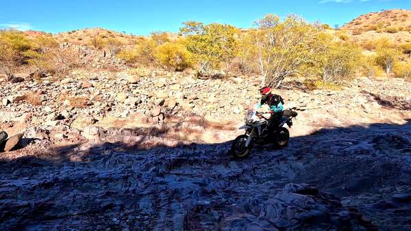 Up a creek with an Africa Twin