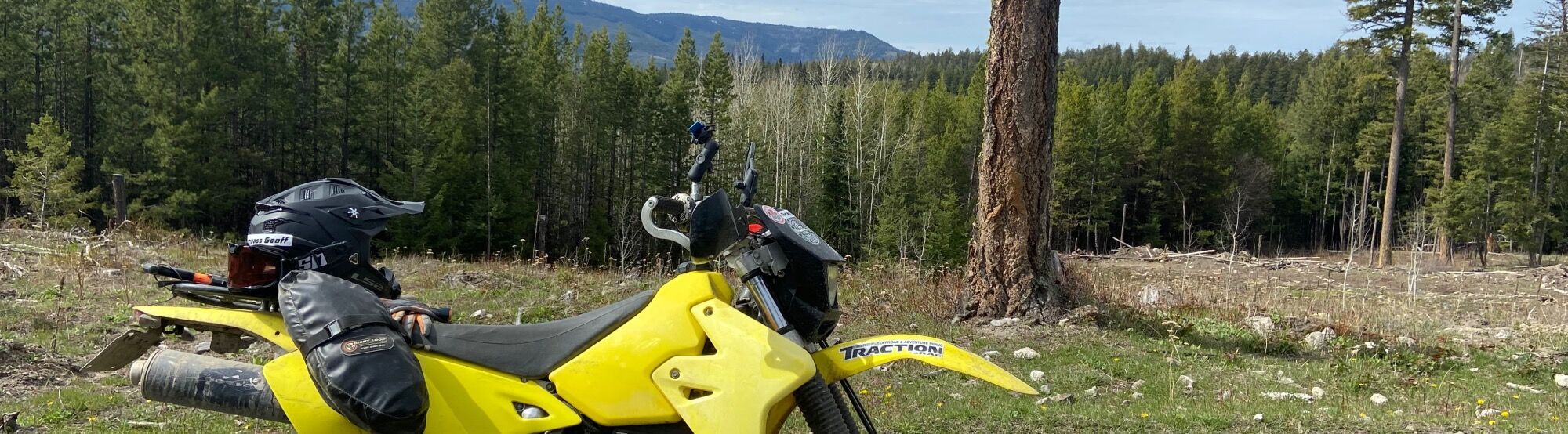 2000 Suzuki DRZ400E