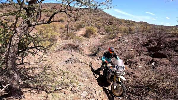 Hard Honda single track
