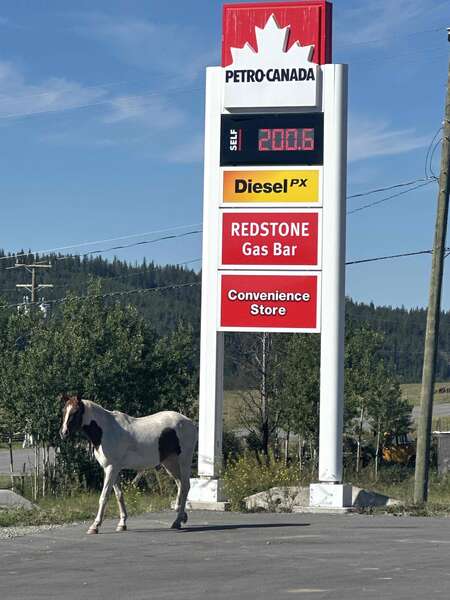 Boomerang ride to Bella Coola