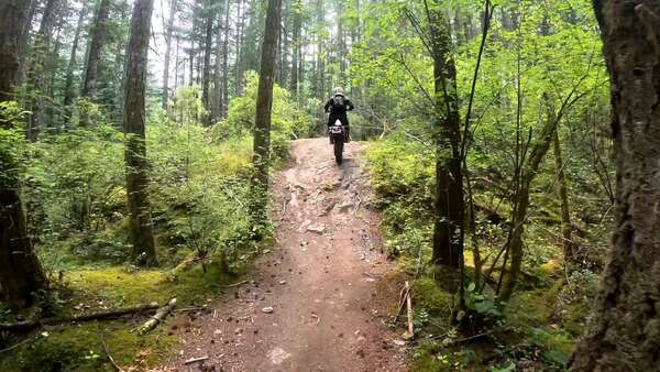 Hard trails with Mladen