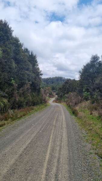 Whirinaki Forest, Minginui to Waipunga