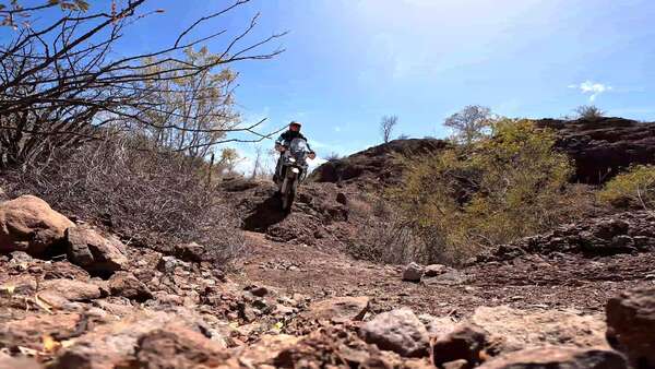 Hard Honda single track
