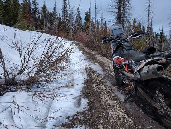 Peak to Peak track scouting