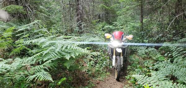 Riding With Friends