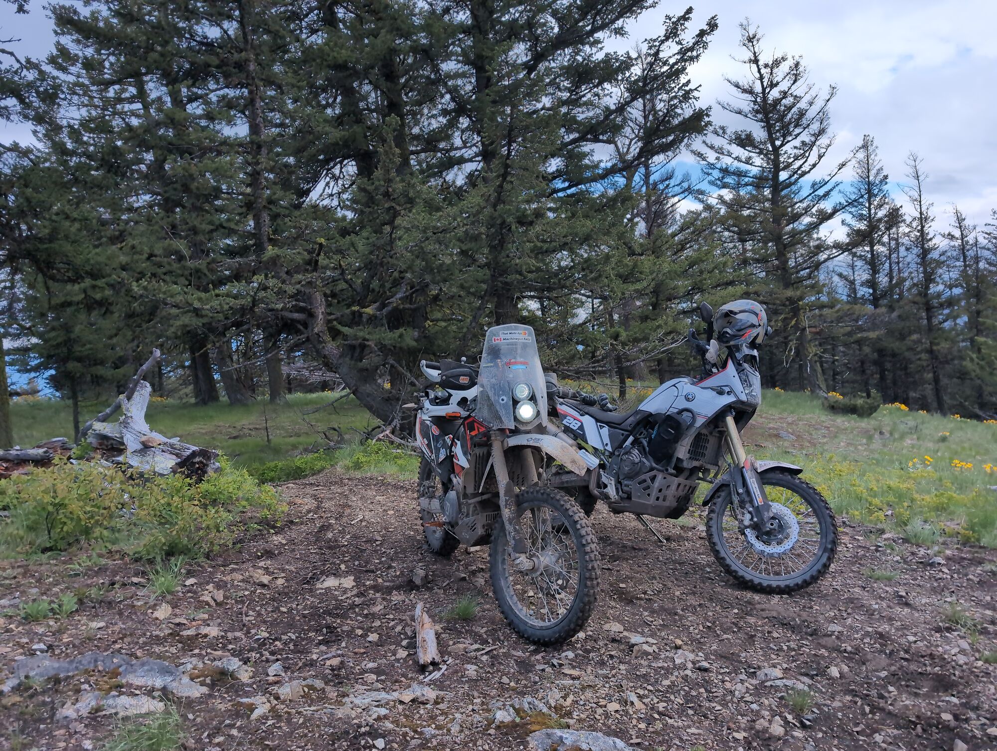 Peak to Peak track scouting