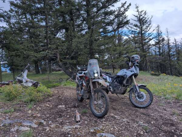 Peak to Peak track scouting