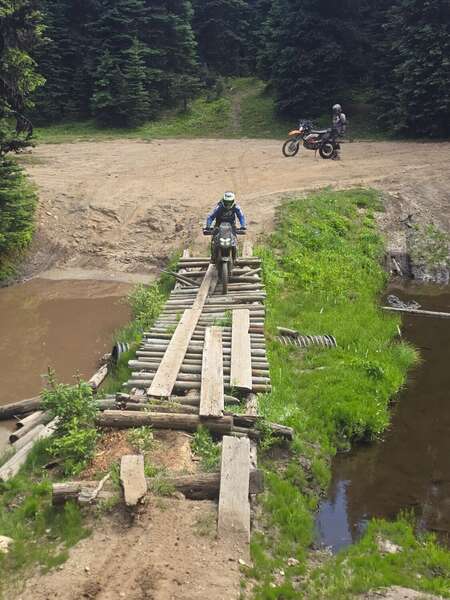 Whipsaw July 11 2026