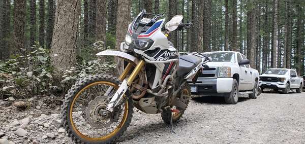 Legends Of Moto Race