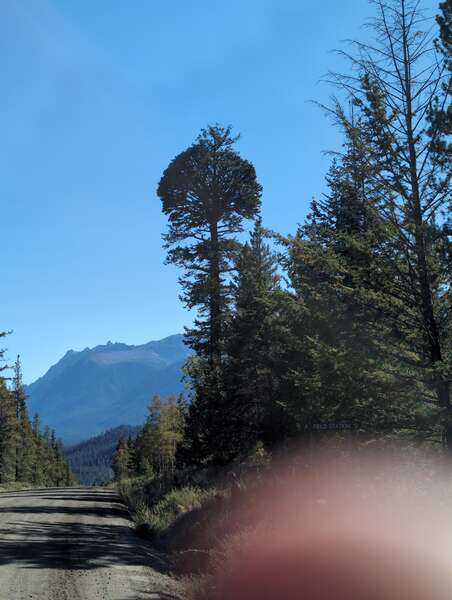 Chilcotin Adventure - Day 3