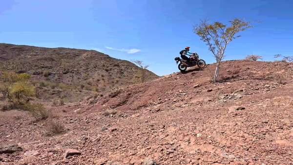Hard Honda single track