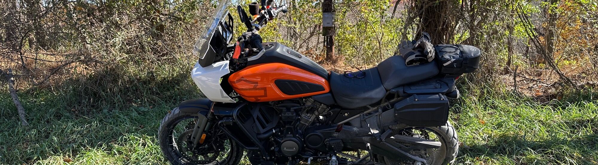 2021 Harley-Davidson Pan America Special