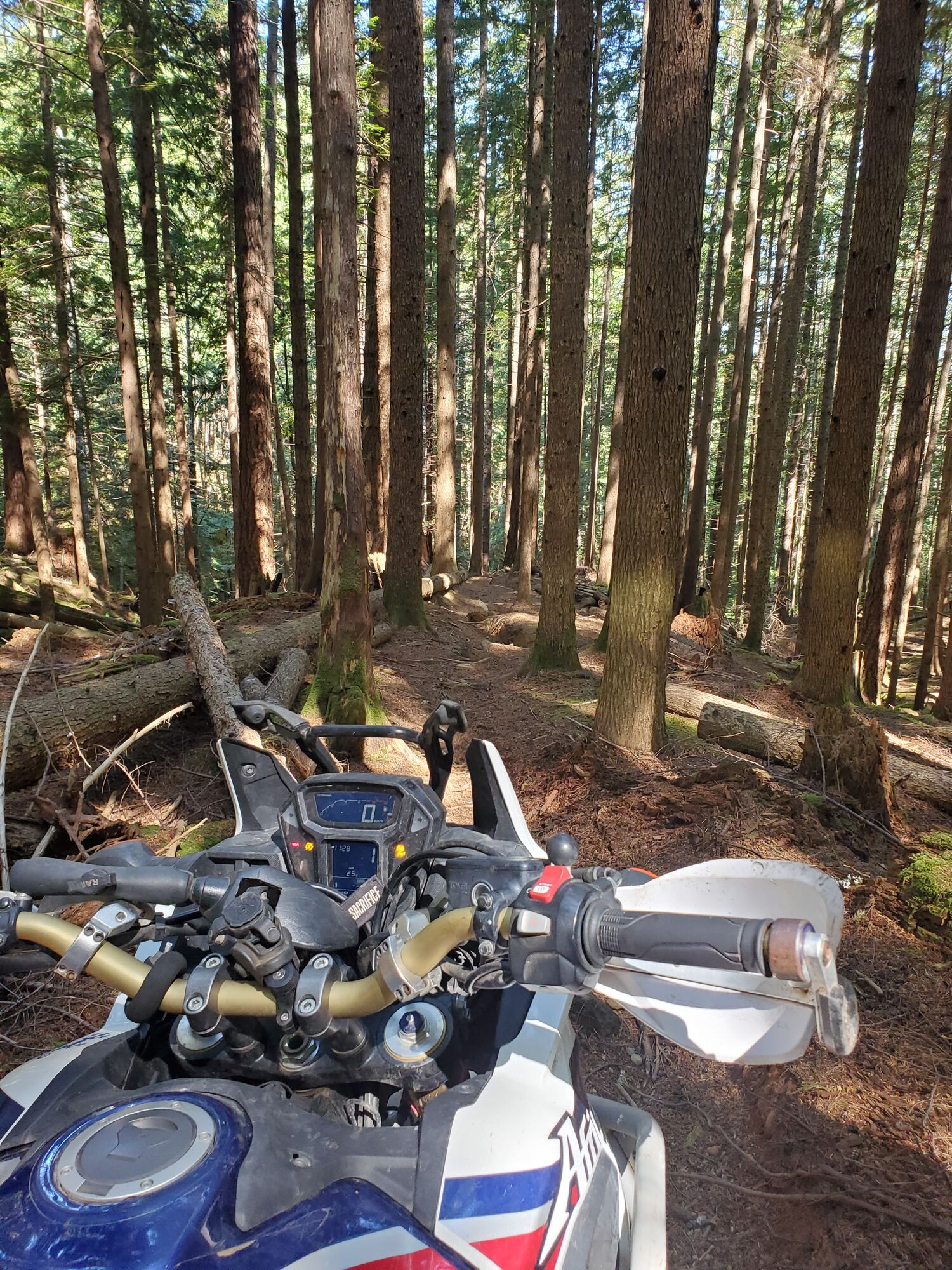 Ripping Cook Creek