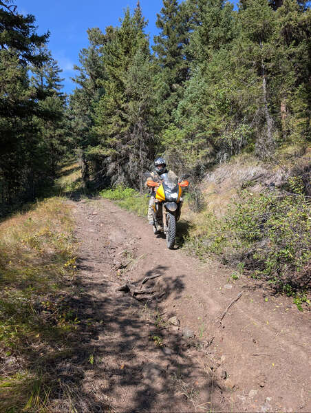 TABG 2025 - Day 2 -Morning