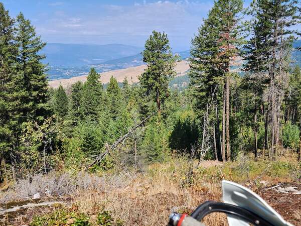 Lower Postil Lake Rd Singletracks! August 18 2024