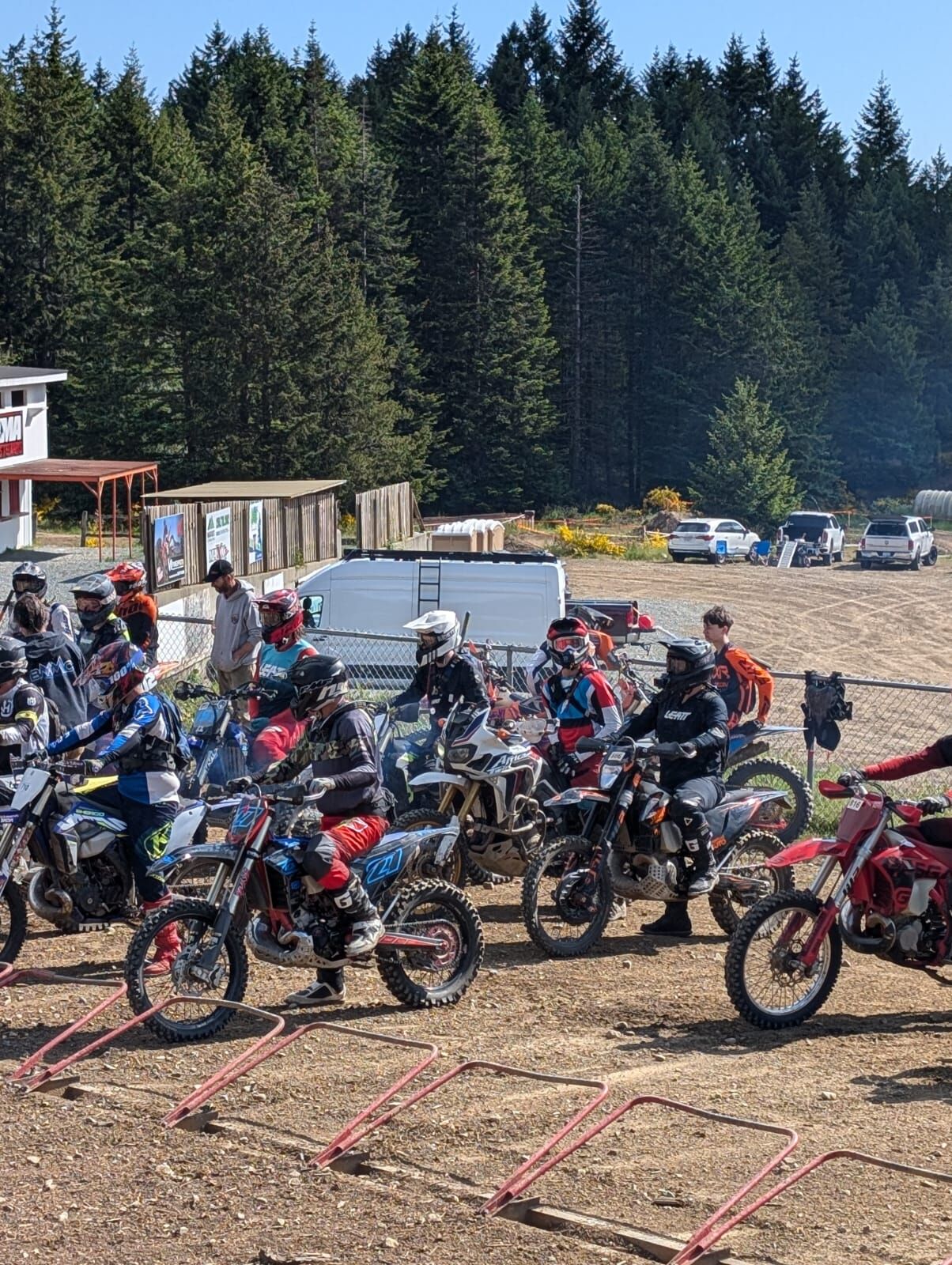 The Knockout Race