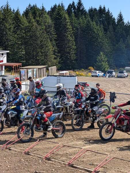 The Knockout Race